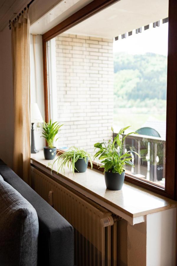 Ferienwohnung Mit Seeblick — Sport Und Erholung Винтерберг Экстерьер фото